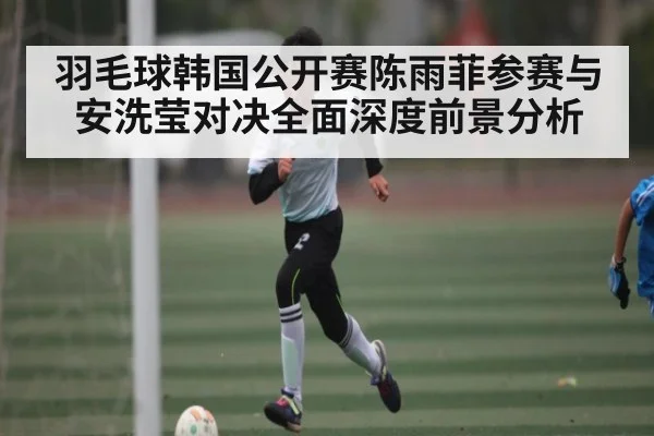 羽毛球韩国公开赛陈雨菲参赛与安洗莹对决全面深度前景分析 - kaiyun